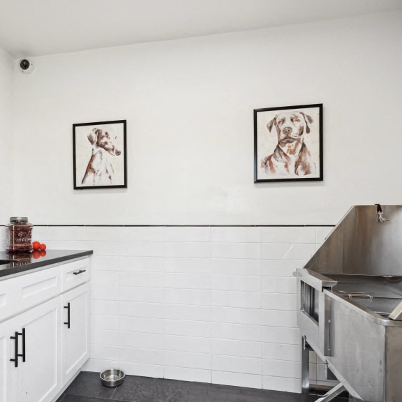 a kitchen with white cabinets and a stainless steel counter top and a sink
