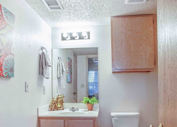 a bathroom with a toilet sink and mirror