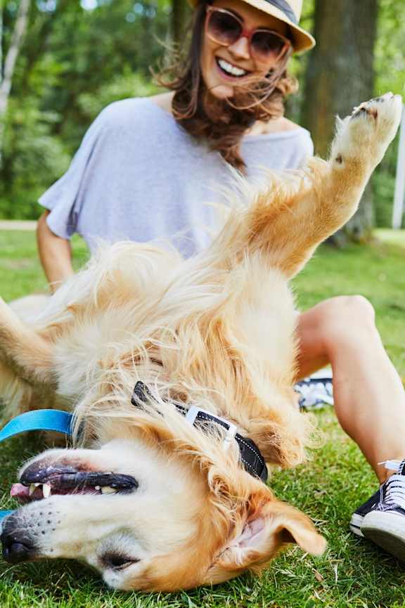 Pet-Friendly Apartments