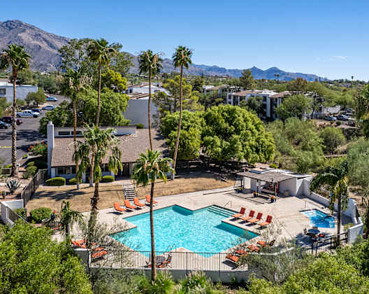 an aerial view of a swimming pool at the resort with palm trees