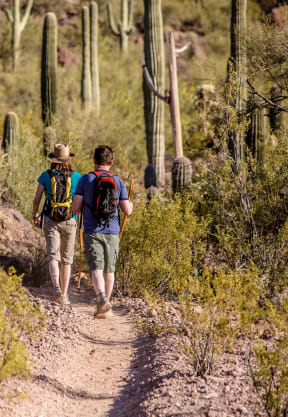 two people walking on a dirt trail in the desert