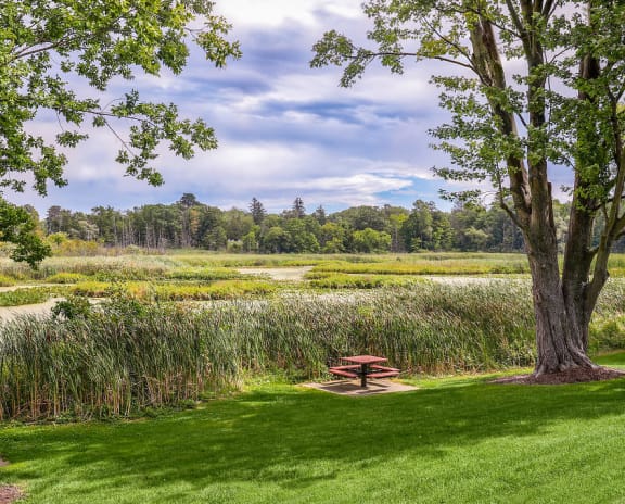Big green grassy area with trees and a pond in the distance. A picnic table is set up down by the pond.