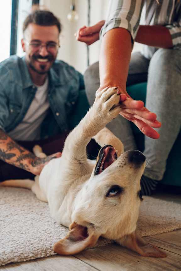 Playing With A Dog at Inverness Cliffs, Birmingham, AL, 35242