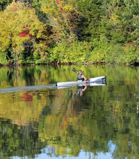 A person is rowing a boat on a lake surrounded by trees.