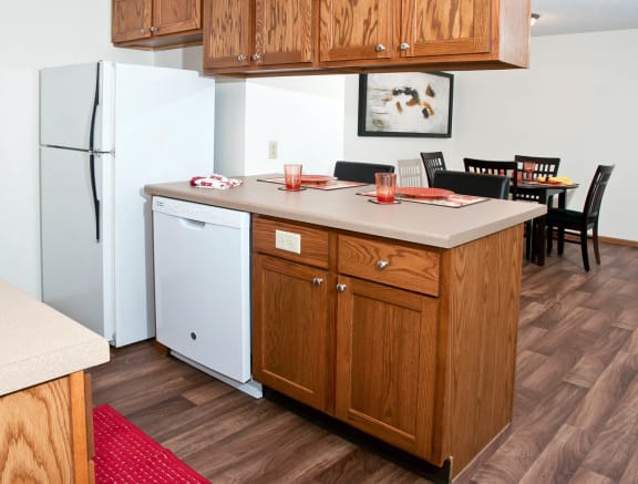 Dominium_Cedar Ridge_Staged Apartment Kitchen