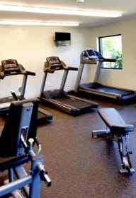 Medina Gym
