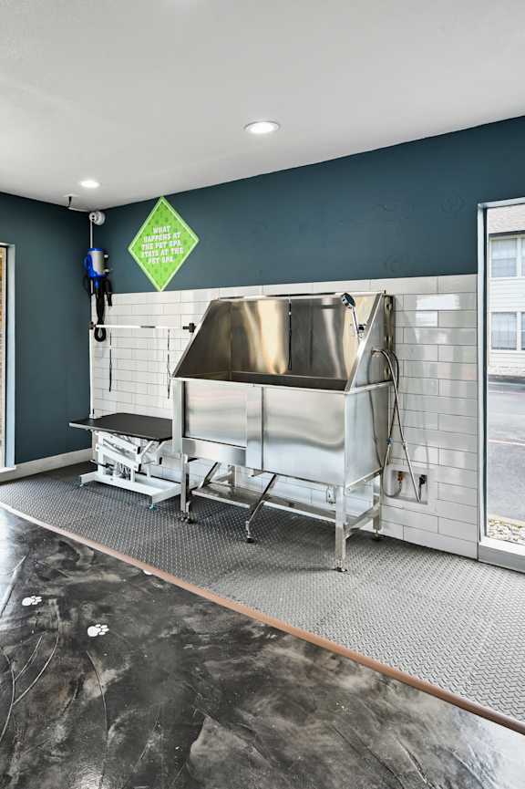 A view of a kitchen area with a sink and a window.