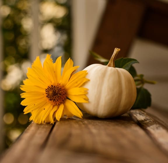 flower pumpkin decor at azul baldwin park at Azul Baldwin Park, Orlando, FL