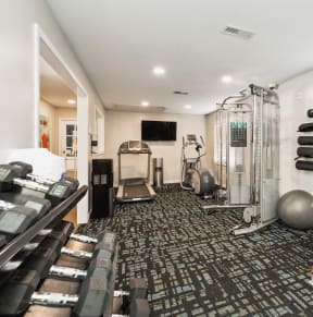 a gym with a treadmill and weights on the floor and a window