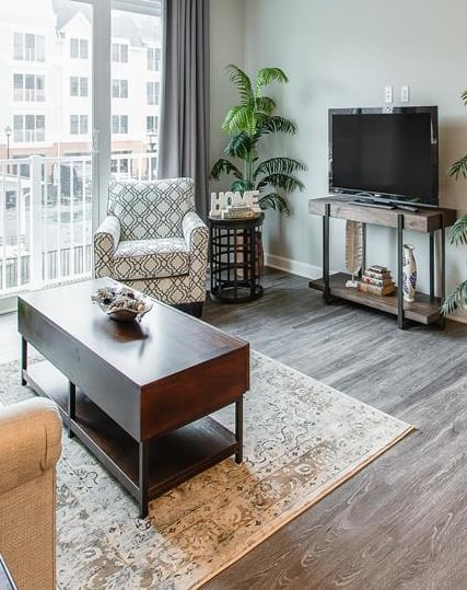 a living room with a couch and a television at Westport Apartments, 23505