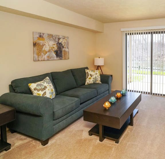 Living Room at Arbor Lakes Apartments, Elkhart, IN, 46516