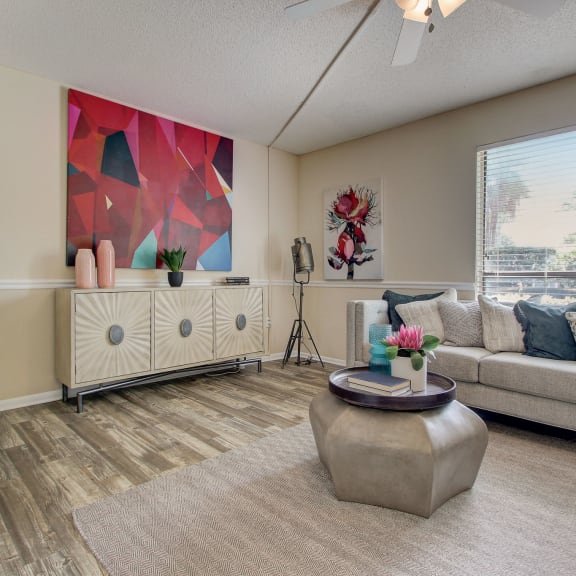 Derby Park Apartments in Daytona Beach, FL photo of a living room with a couch and a window