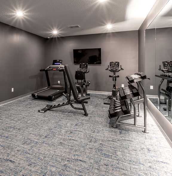 A room with a blue carpet and exercise equipment.