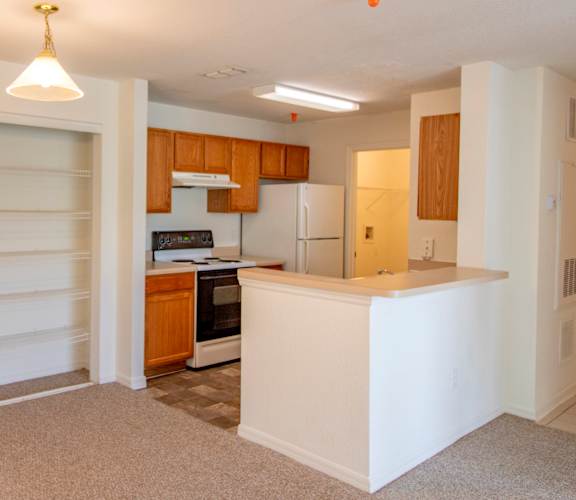 a kitchen and living room in an apartment