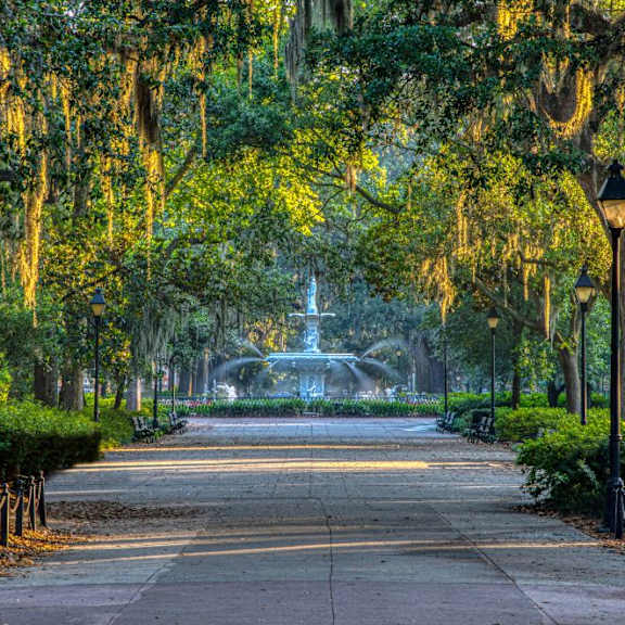 A tree-lined street with a fountain in the distance.