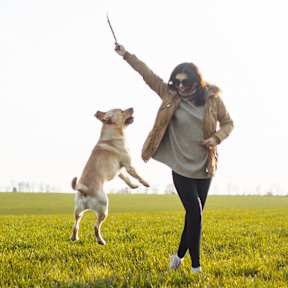 A woman is playing with her dog in a field.
