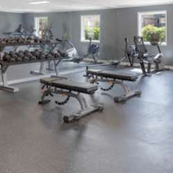 A gym with a bench, weights and exercise equipment.