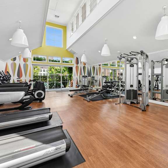 A gym with treadmills and exercise bikes.