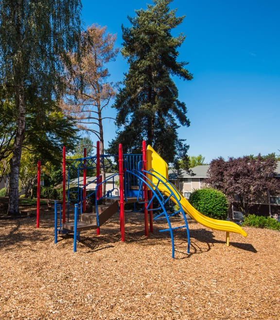 Playground at Rolling Hills Apartments, Tualatin, 97062