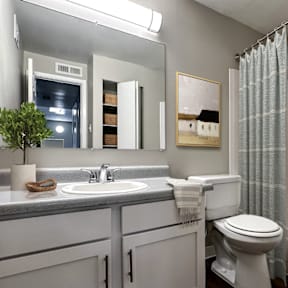A bathroom with a toilet, sink, and mirror.