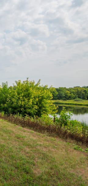 the preserve at ballantyne commons apartment community yards and walkway