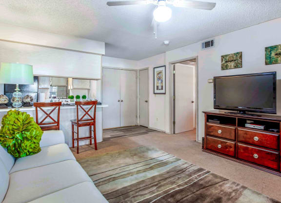 a living room with a couch and a tv