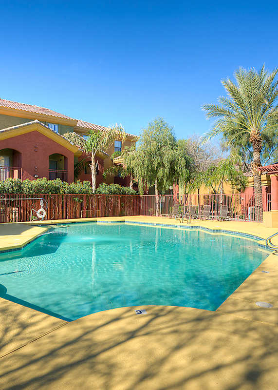 A large swimming pool surrounded by palm trees and lounge chairs.