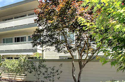 Building exterior view from outside at Wellesley Crescent, Redwood City, California