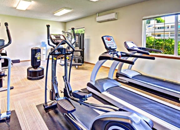 Maple Pointe Fitness Center Cardio Equipment