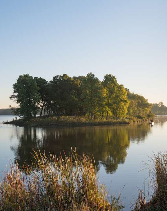 A serene lake surrounded by trees and grasses.