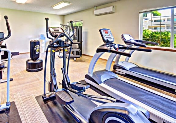 Maple Pointe Fitness Center Cardio Equipment