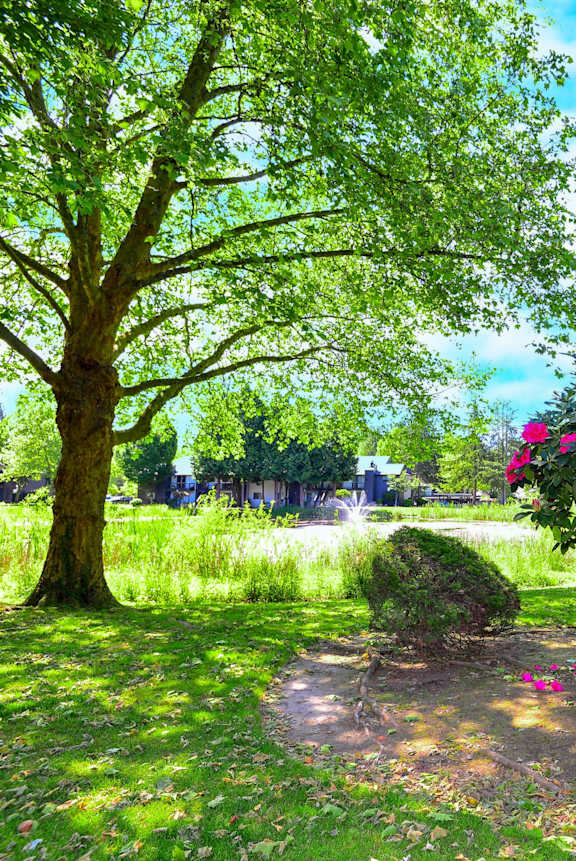 Flower landscaping at Woodlake Apartments, Kirkland, Washington