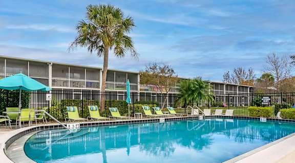 A swimming pool surrounded by chairs and a palm tree.