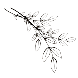 Leaf branch graphic on a white background.