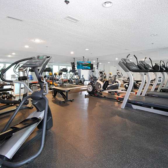 a gym with cardio equipment and weights on the floor