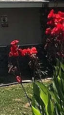 A sign that says Welcome Home is in front of a house.