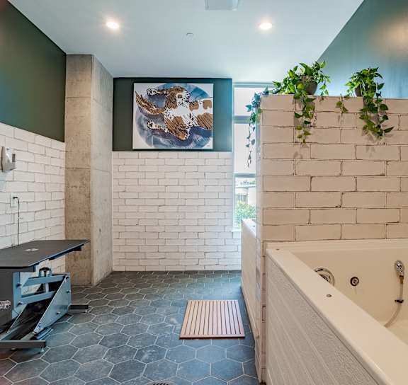 Pet bath at The Yancey Apartments, Charlotte