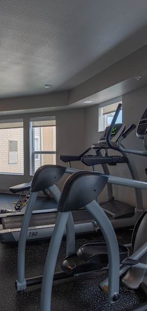 A spacious home gym with a treadmill, elliptical machines, and other exercise equipment.