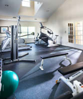 a gym with cardio equipment and weights on the floor