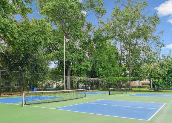 A tennis court surrounded by trees and a fence.