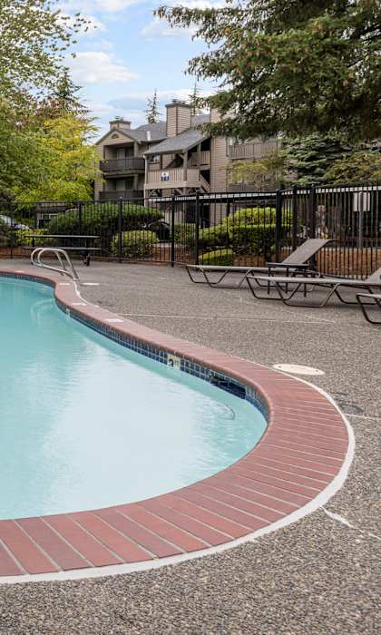 A round pool surrounded by a brick border.