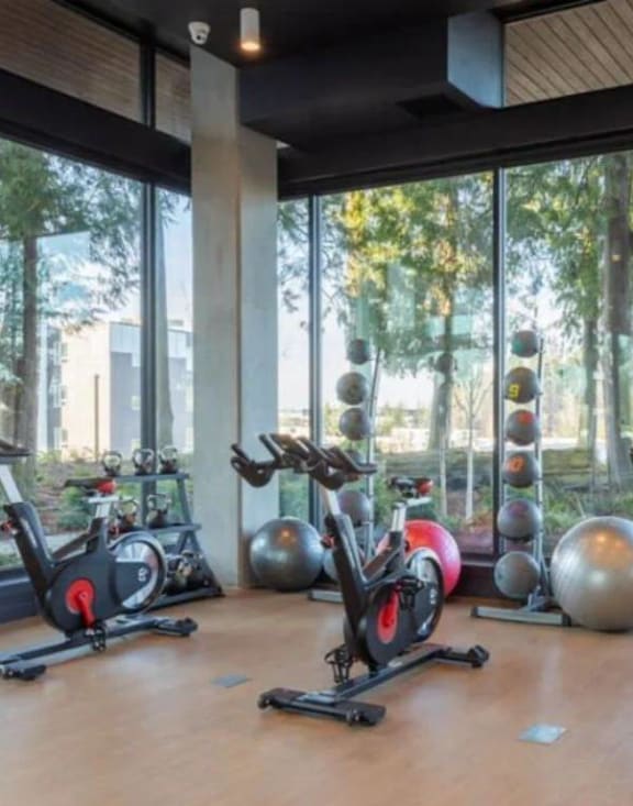 a gym with a large window and a variety of exercise equipment