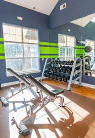 A gym with a variety of equipment including weights and a bench press.