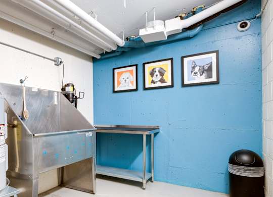 Pet wash station at 1600 Penn SE Apartments in the Hill East neighborhood of Washington, DC 2003