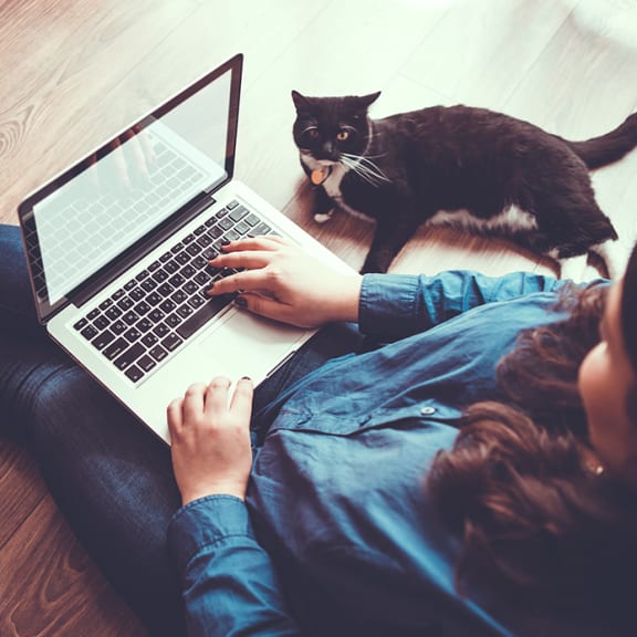 woman with laptop on her lap and a cat sitting beside her