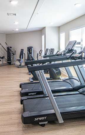 A gym with treadmills and other exercise equipment.