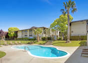 Thumbnail 2 of 17 - a swimming pool with chaise lounge chairs and trees in the background