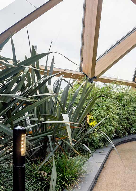 A greenhouse with a pathway and plants on both sides.