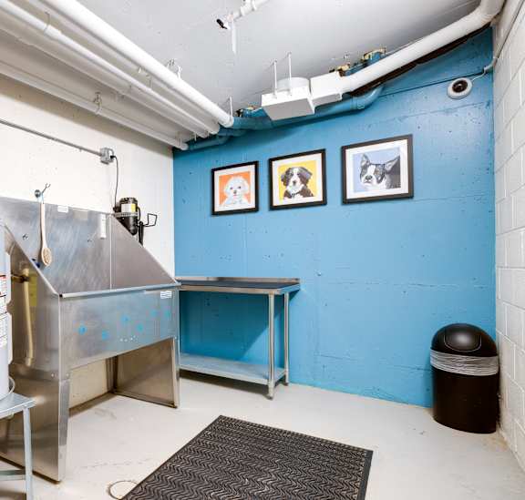 A large industrial tank is surrounded by pipes in a room with a blue wall.