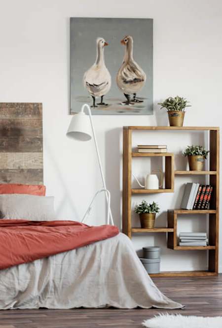 a bedroom with a bed and a bookcase